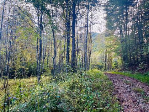1885 Flea Mountain Road Murphy NC 28906
