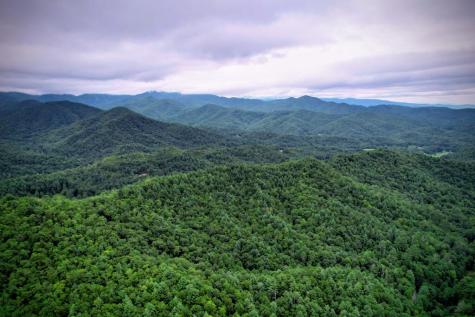 1885 Flea Mountain Road Murphy NC 28906