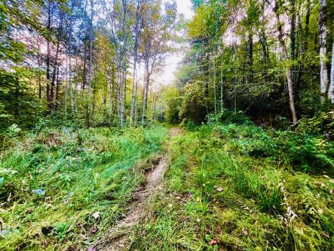 1885 Flea Mountain Road Murphy NC 28906