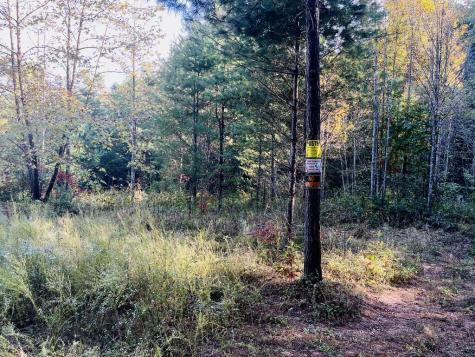 1885 Flea Mountain Road Murphy NC 28906