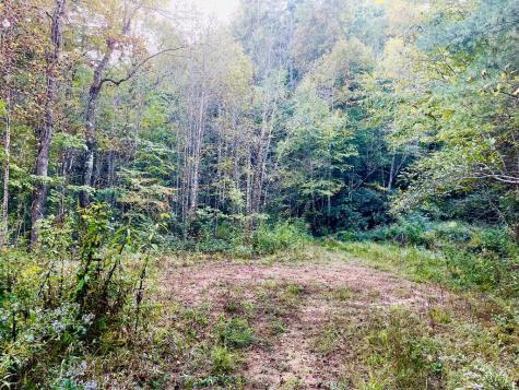 1885 Flea Mountain Road Murphy NC 28906
