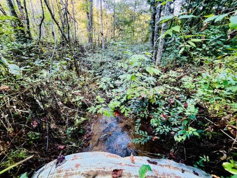 1885 Flea Mountain Road Murphy NC 28906