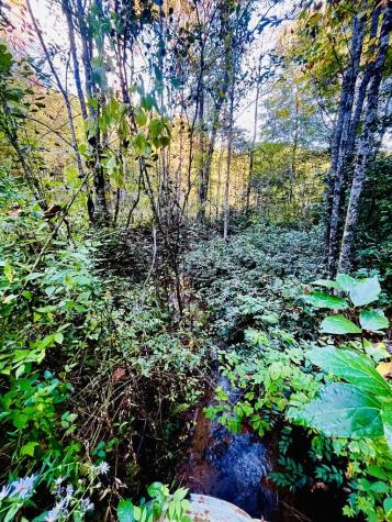 1885 Flea Mountain Road Murphy NC 28906