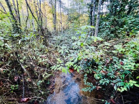 1885 Flea Mountain Road Murphy NC 28906