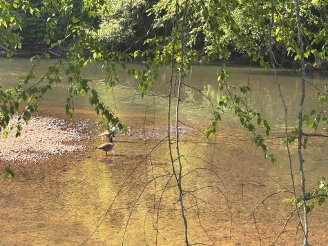 Lot 5 Grassy Creek Road Copperhill TN 37317