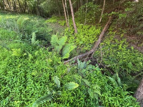 Lot 5 Grassy Creek Road Copperhill TN 37317