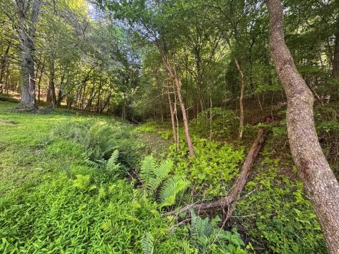 Lot 5 Grassy Creek Road Copperhill TN 37317