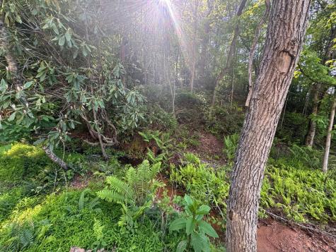 Lot 5 Grassy Creek Road Copperhill TN 37317