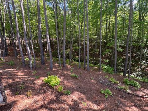 Lot 5 Grassy Creek Road Copperhill TN 37317