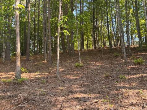 Lot 5 Grassy Creek Road Copperhill TN 37317