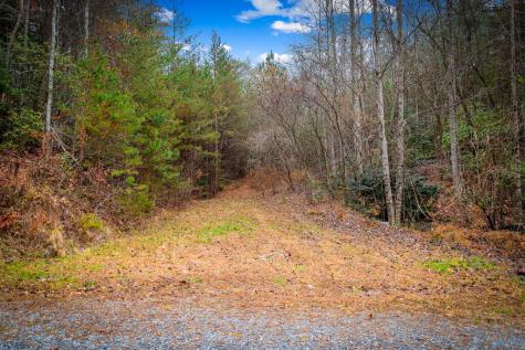 5.97AC Bullen Gap Road Blue Ridge GA 30513