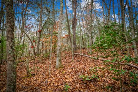 5.97AC Bullen Gap Road Blue Ridge GA 30513