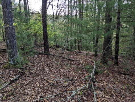 Lot 7 Caddis Trail Hayesville NC 29804