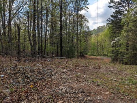 Lot 7 Caddis Trail Hayesville NC 29804