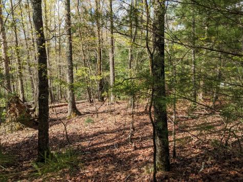 Lot 7 Caddis Trail Hayesville NC 29804