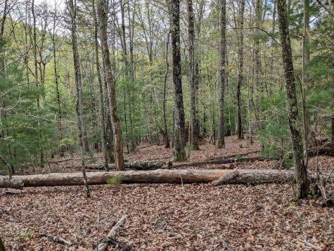 Lot 7 Caddis Trail Hayesville NC 29804