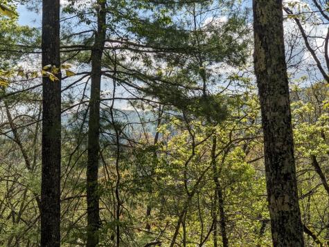 Lot 7 Caddis Trail Hayesville NC 29804