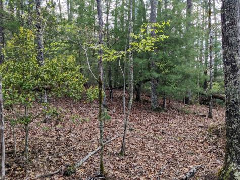 Lot 7 Caddis Trail Hayesville NC 29804