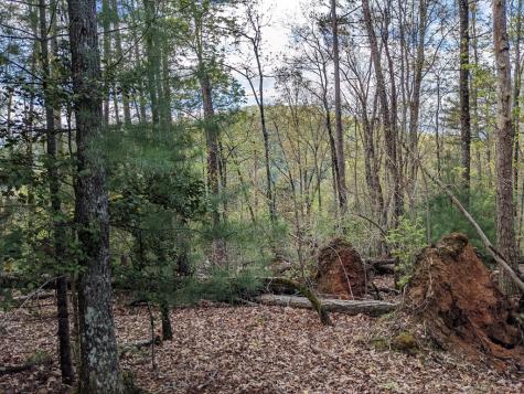 Lot 7 Caddis Trail Hayesville NC 29804