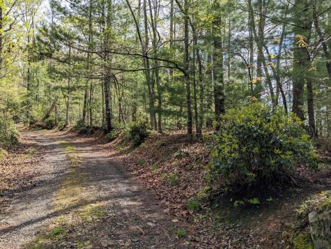 Lot 7 Caddis Trail Hayesville NC 29804