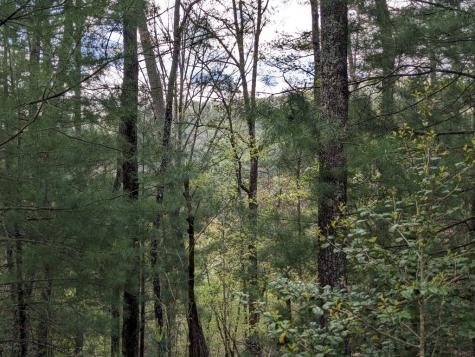 Lot 7 Caddis Trail Hayesville NC 29804