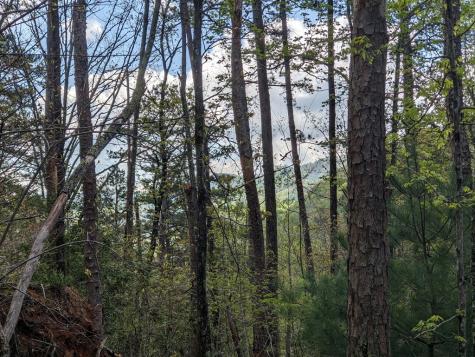 Lot 7 Caddis Trail Hayesville NC 29804