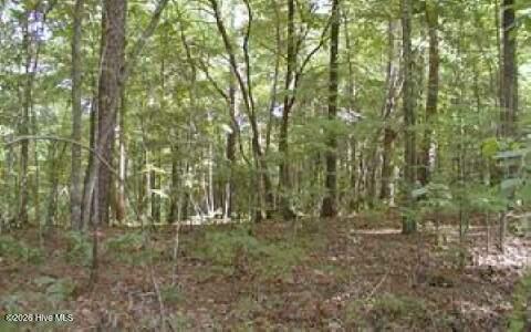 00 Panda Lane Murphy NC 28906