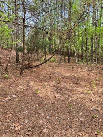 02 Old Shyers Ford Road Talking Rock GA 30175