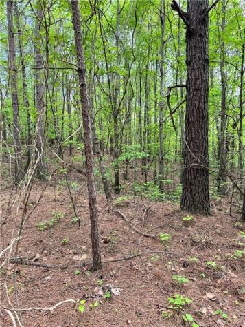 02 Old Shyers Ford Road Talking Rock GA 30175