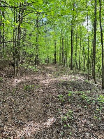 02 Old Shyers Ford Road Talking Rock GA 30175