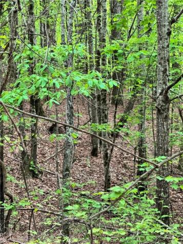 02 Old Shyers Ford Road Talking Rock GA 30175