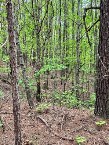 02 Old Shyers Ford Road Talking Rock GA 30175