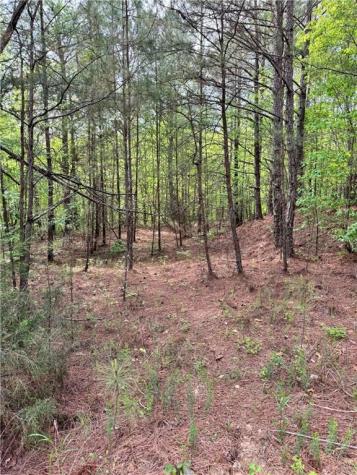 02 Old Shyers Ford Road Talking Rock GA 30175