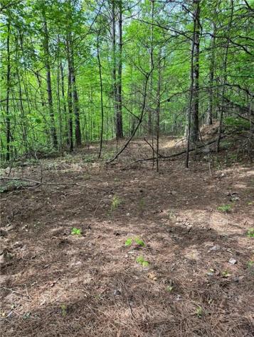 02 Old Shyers Ford Road Talking Rock GA 30175