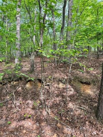 02 Old Shyers Ford Road Talking Rock GA 30175