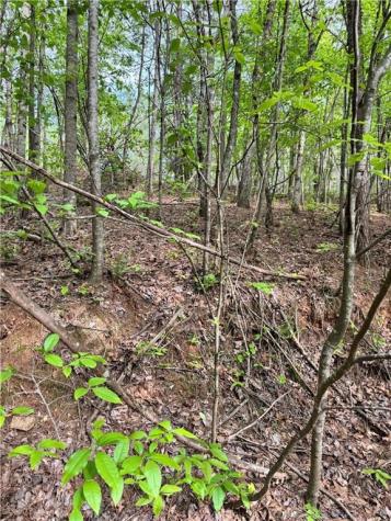 02 Old Shyers Ford Road Talking Rock GA 30175