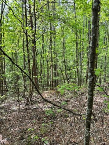 02 Old Shyers Ford Road Talking Rock GA 30175