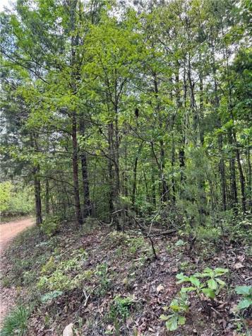 02 Old Shyers Ford Road Talking Rock GA 30175