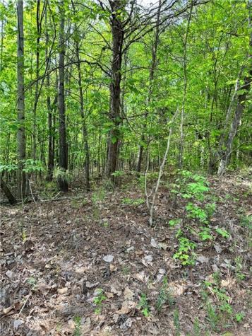 02 Old Shyers Ford Road Talking Rock GA 30175