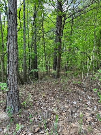 02 Old Shyers Ford Road Talking Rock GA 30175