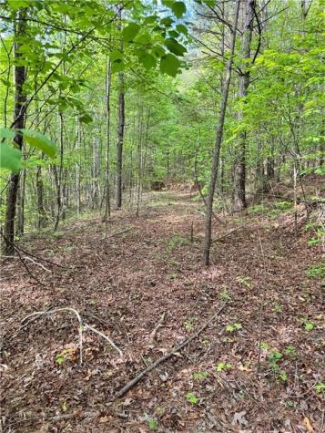 02 Old Shyers Ford Road Talking Rock GA 30175