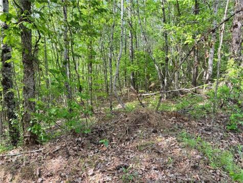 02 Old Shyers Ford Road Talking Rock GA 30175