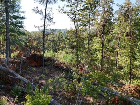 Lot 54 High River Landing Ellijay GA 30540