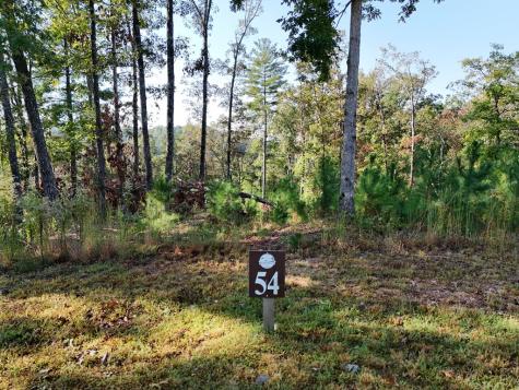 Lot 54 High River Landing Ellijay GA 30540