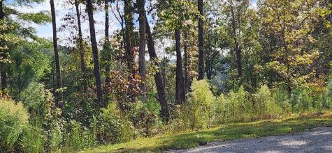 Lot 54 High River Landing Ellijay GA 30540