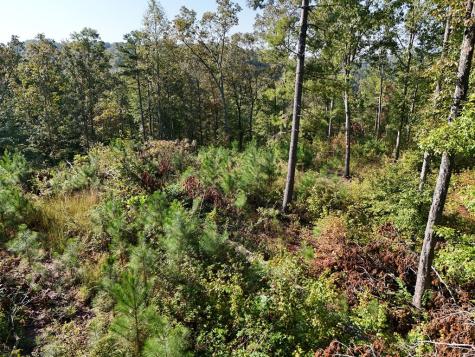 Lot 54 High River Landing Ellijay GA 30540