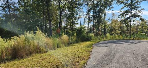 Lot 54 High River Landing Ellijay GA 30540