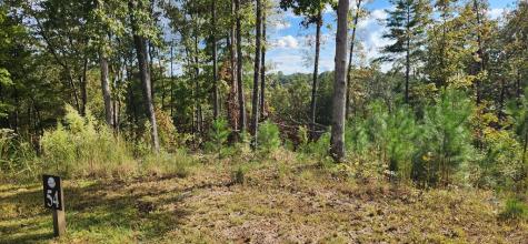 Lot 54 High River Landing Ellijay GA 30540