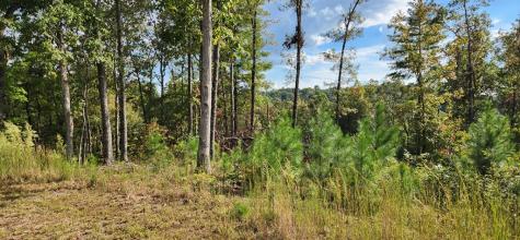 Lot 54 High River Landing Ellijay GA 30540