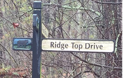 24 Ridge Top Drive Ellijay GA 30536